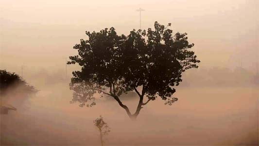 म्यूजिक सिस्टम बंद रखें, गाड़ी धीरे चलाएं; कोहरे में ड्राइविंग को लेकर एडवाइजरी जारी