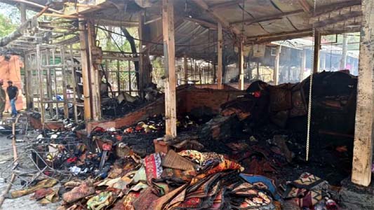 दिल्ली के नेचर बाजार में ‘अग्नितांडव’: 40 दुकानें जलकर स्वाहा, सुबह-सुबह आसमान में छाया धुएं का खौफनाक मंजर