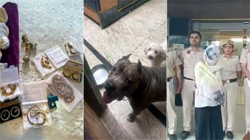 2 किलो सोना, 15 गोल्ड लोन अकाउंट, घर में पाले 15 खूंखार कुत्ते; दिल्ली की नौकरानी का खुला रहस्य