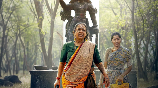 सनी देओल की बॉर्डर 2 को टक्कर दे रही है 63 साल की हीरोइन की ये फिल्म, सिर्फ 6 दिन काम डाले इतने करोड़