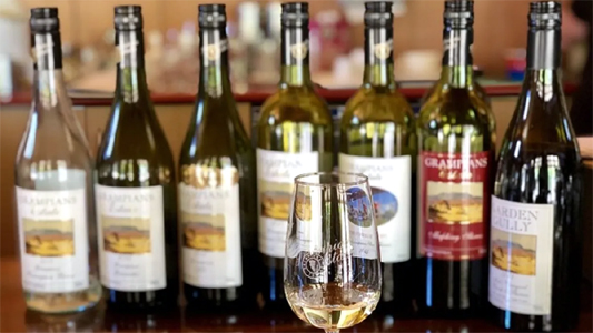 दिल्ली सरकार ने मौजूदा आबकारी नीति को 1 साल के लिए बढ़ाया, खुदरा लाइसेंसों का होगा रिन्युअल